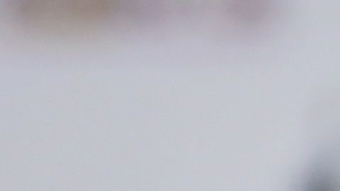 Antonio Mohamed ha sufrido en su regreso a los Rayados.