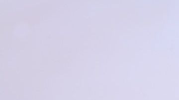 Nuez de brasil-pxhere