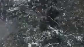 El lunes cayeron unas 8.2 pulgadas de nieve en Rochester.