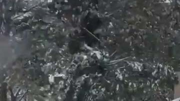 El lunes cayeron unas 8.2 pulgadas de nieve en Rochester.