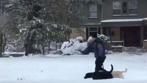 El lunes cayeron unas 8.2 pulgadas de nieve en Rochester.