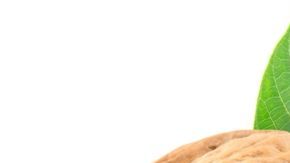 Las nueces son un grandioso aliado para el funcionamiento cerebral ayudan al funcionamiento cerebral y nos llenan de energía de calidad.