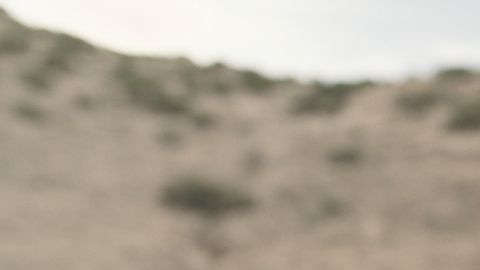 Narcos vs Zombies on Amazon Prime Video