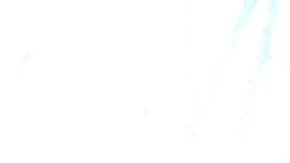 Los alrededores de Madison Square Park estuvieron colmados de pancartas en contra del mandatario.