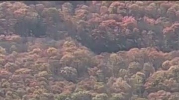 ¿Dónde está Stephanie Parze?