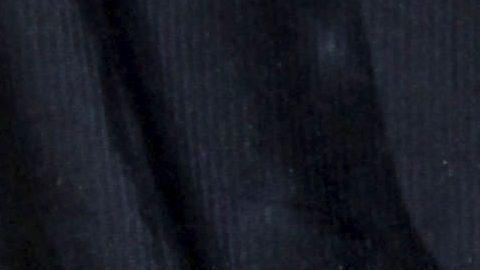 Pedro Rivera Jr.