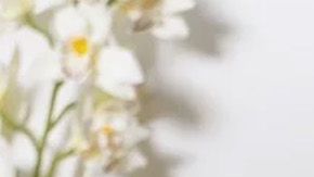 Penis-Enlargement-Massage