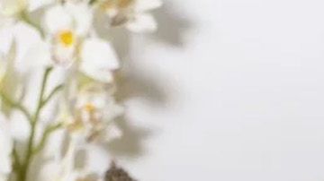 Penis-Enlargement-Massage