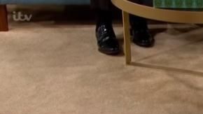 Perro vegano...o no tanto.