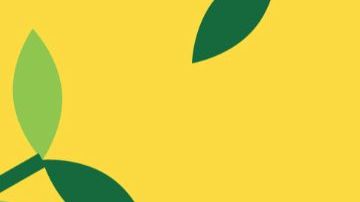 Los Ángeles está comprometida con la repoblación de árboles.