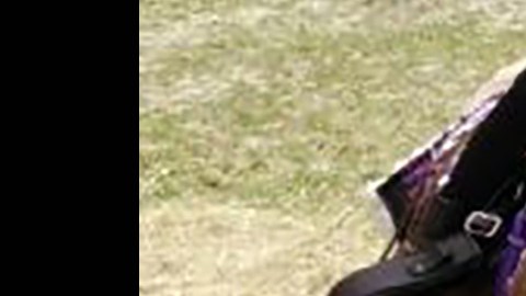 El poni Gracie.