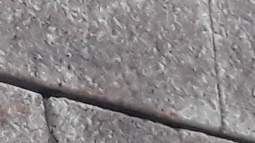 A pesar de las temperaturas congelantes familiares y amigos visitaron el Memorial en Queens.