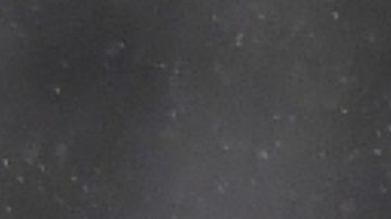 Raúl Jiménez está teniendo su mejor temporada