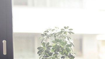 Por alguna de estas razones tus jefes podrían estarte pasando en alto a la hora de los ascensos.