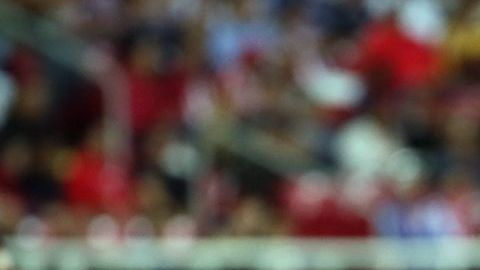 Luis Fernando Tena quiere seguir con Chivas.