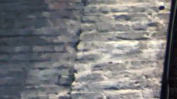 En estas ciudades no debes temer por rentar una casa.