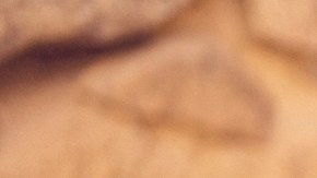 Cortesía : The Agency.