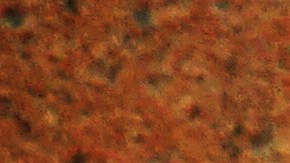 Unas cuentas cuyos rendimientos pueden ser tax free./Shutterstock