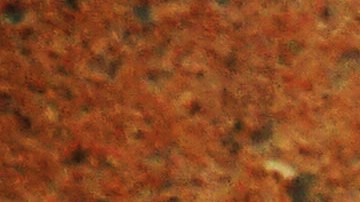 Unas cuentas cuyos rendimientos pueden ser tax free./Shutterstock