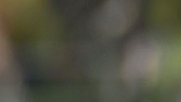 Carlos Salcido y Andres Guardado compartieron muchos años en la Selección Mexicana, como el Mundial Brasil 2014.