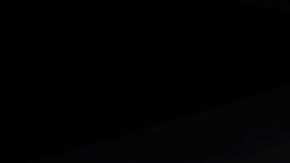 shutterstock_1135373744