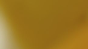 Hay señales que pueden advertirte de la presencia de chinches en tu habitación.