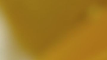 Hay señales que pueden advertirte de la presencia de chinches en tu habitación.