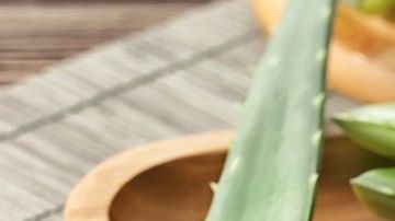 El Aloe Vera es un extraordinario ingrediente para depurar el organismo, alcaliniza la sangre y es uno de los mejores aliados para bajar de peso.