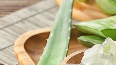 El Aloe Vera es un extraordinario ingrediente para depurar el organismo, alcaliniza la sangre y es uno de los mejores aliados para bajar de peso.