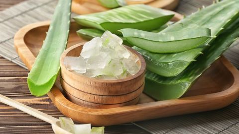 El Aloe Vera es un extraordinario ingrediente para depurar el organismo, alcaliniza la sangre y es uno de los mejores aliados para bajar de peso.