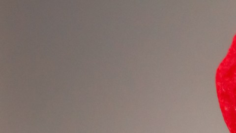 shutterstock_122714101