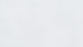 shutterstock_1239647506