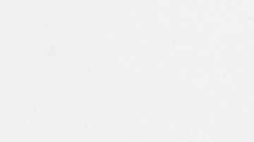 shutterstock_1466324729