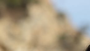 shutterstock_193791986