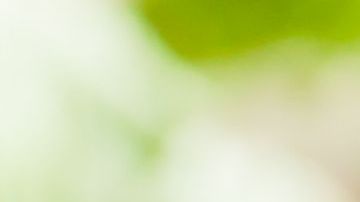 shutterstock_306118787