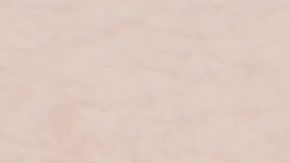 shutterstock_314941307