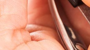 shutterstock_363916388