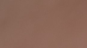 shutterstock_369919679