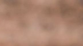 shutterstock_453823861