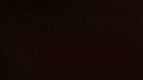 Celebra Thanksgiving sin remordimientos.