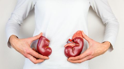 shutterstock_533753260