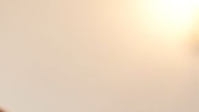 Nunca se imaginó que sería víctima de una trama de mentiras.