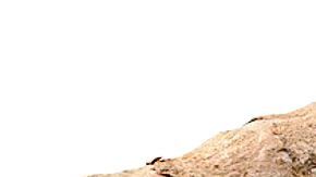 Añadir cúrcuma en tus batidos de cada mañana es un gran hábito de salud y excelente aliado para bajar de peso.