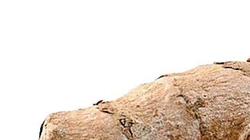 Añadir cúrcuma en tus batidos de cada mañana es un gran hábito de salud y excelente aliado para bajar de peso.