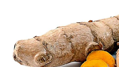 Añadir cúrcuma en tus batidos de cada mañana es un gran hábito de salud y excelente aliado para bajar de peso.
