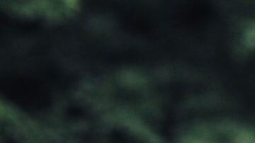 La mortalidad de personas en edad de trabajar aumentó.