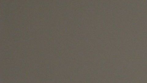 table-plant-white-fruit-berry-bowl-731201-pxhere.com (1)