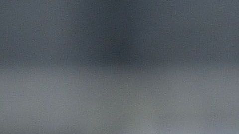 El 'Tata' Martino quiere empezar a trabajar con jóvenes de la Liga MX.