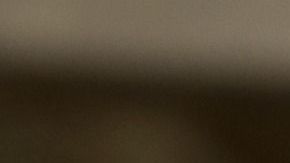 El hombre terminó siendo arrestado tras su fechoría.