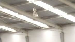 Tráfico de fentanilo.